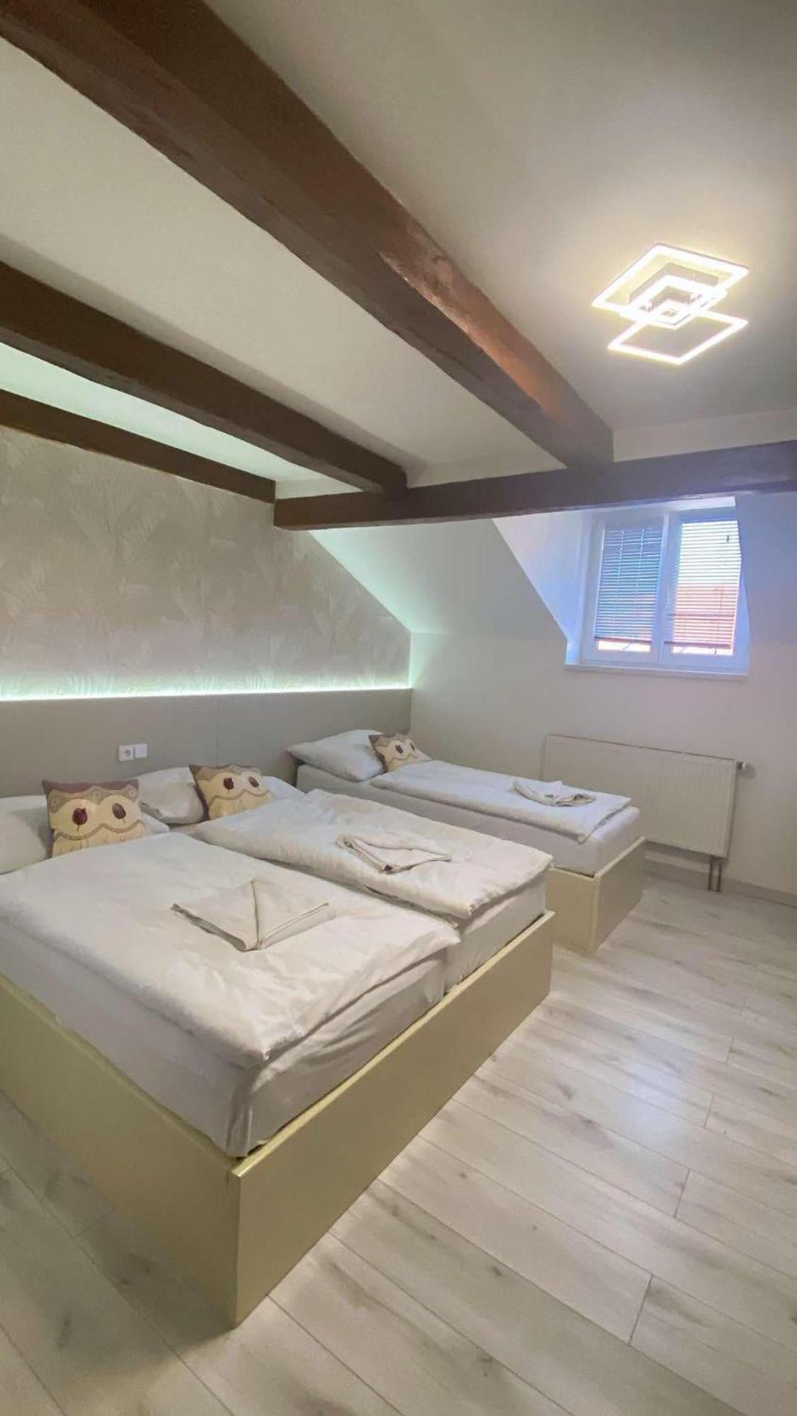 Hotel U Radnice As Aš المظهر الخارجي الصورة